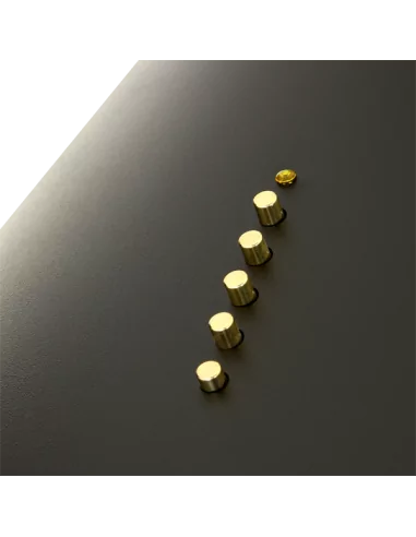 Вытяжка кухонная AKPO WK-4 Dandys GOLD